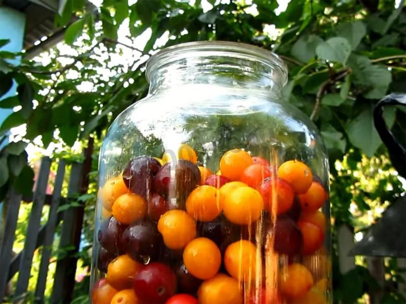 Шаг 2. Как правильно раздавить алычу для вина и не испортить вкус?